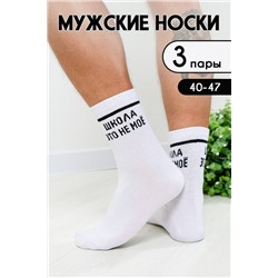 Носки мужские Школа (3 пары) белый