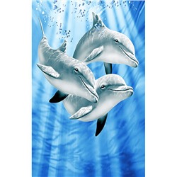 Полотенце махровое пляжное Дельфины