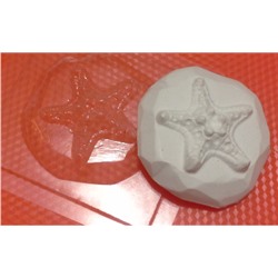 Пластиковая форма - БП 009 - Звезда на камне