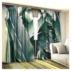 Фототюль 3D Листья пальмы (вуаль)