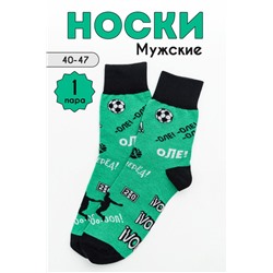 Носки мужские Фанат (1 пара) зеленый